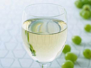 洋葱架构怎么用？新手必看的完整指南